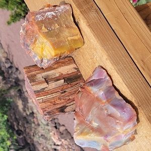 3lbs 9.4oz total 3 pieces of Az rainbow chunk petrified wood